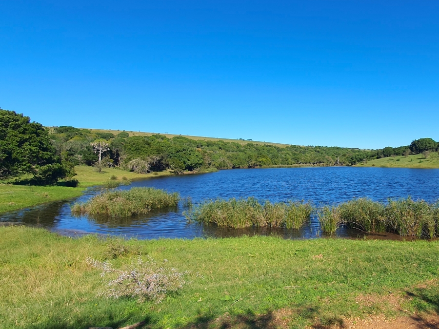 5 Bedroom Property for Sale in Grahamstown Central Eastern Cape